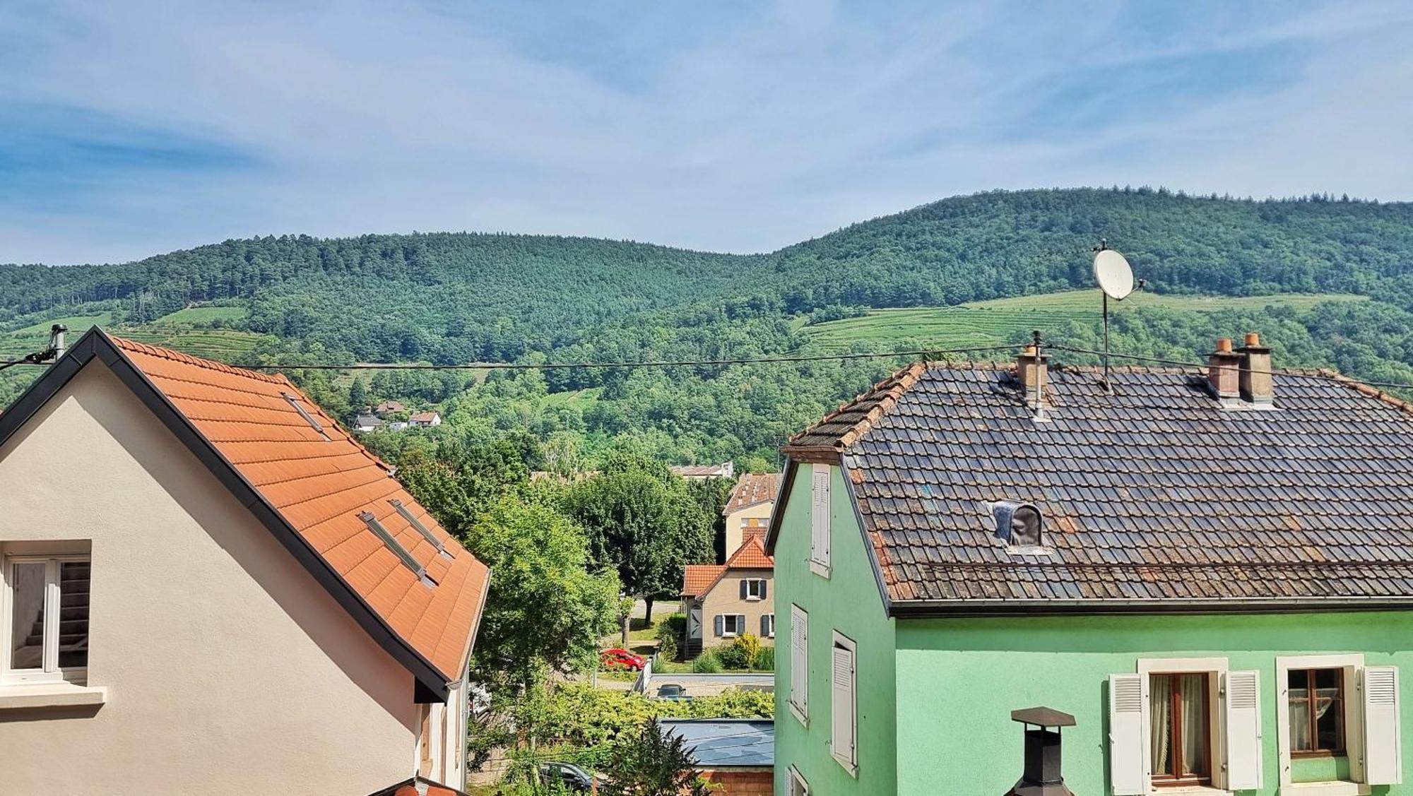 La Buhl Verte - Chic Et Moderne - Calme - Fibre - Relax Bnb מראה חיצוני תמונה